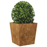 vidaXL Jardinières 2 Pièces 50x50x50 cm acier corten