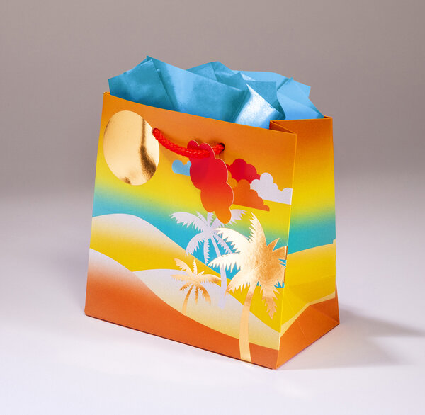 Sac cadeau oasis pmcl 18 x h 18 paysage