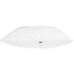 2 Oreillers MERIBEL Plumettes 60 x 60 cm