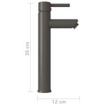 vidaXL Mitigeur de salle de bain Gris 12x30 cm
