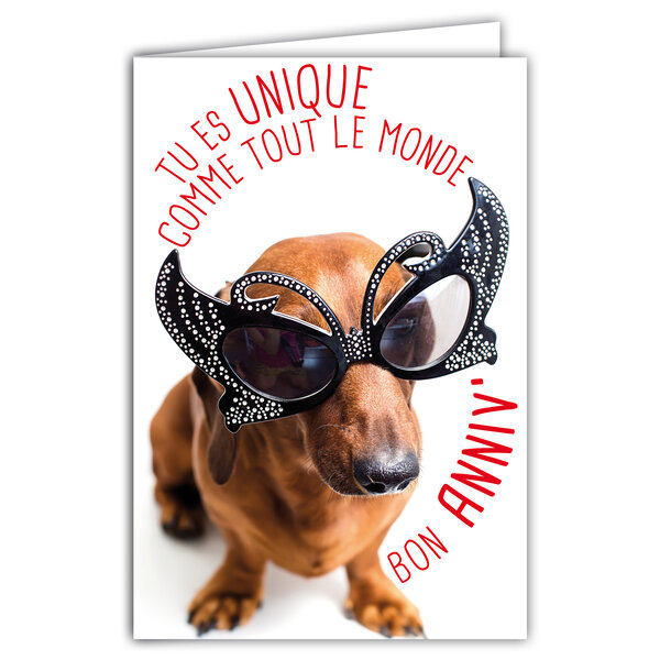 Carte Bon Anniversaire Humoristique avec Enveloppe Illustrée format 17 5x12cm Chien Drôle Amusant Rigolo Déguisé avec des Lunettes Papillon pour faire la Fête Création Fabrication française 69-6207