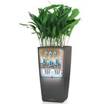 LECHUZA Jardinière Cubico Alto 40 ALL-IN-ONE Charbon 18233
