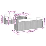 Ensemble de Canapé de Jardin 9 Pièces avec Coussins Beige Rotin PE Acacia