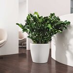 LECHUZA Jardinière Classico Color 43 ALL-IN-ONE Blanc 13230
