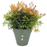 Planteur Rectangle VIBIA - Plastique - Réservoir - Ø 50 - Jaune Miel