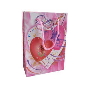 Pochette Cadeau Souple en Plastique  Élégante et Pratique - Deux Coeurs