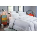 Couette Chaude Microfibre Anti-Acariens 240x260cm