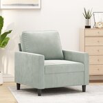 vidaXL Fauteuil Gris clair 60 cm Velours