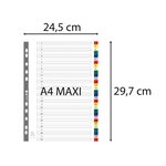 Intercalaires Imprimés Numériques Pp Couleurs 12/100e - 31 Positions - A4+ - Assorties Vives - X 20 - Exacompta