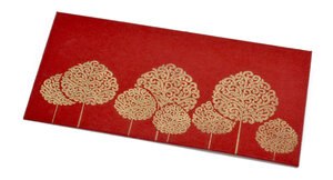 PAPERTREE ARANIA Lot de 5 Enveloppes cadeau 19x10cm - Rouge/Or