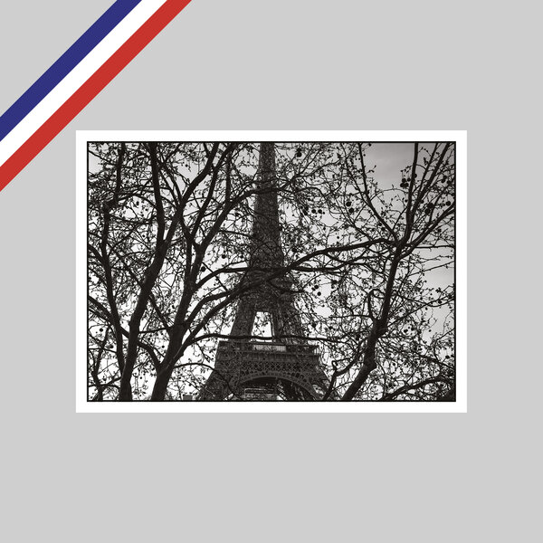 Carte peter turnley - la tour eiffel  paris  2021
