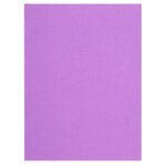 Paquet De 100 Sous-chemises Flash 80 100  Recyclé - 22x31cm - Lilas - X 10 - Exacompta