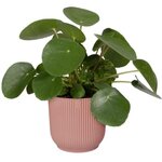 Pot de fleurs Rond VIBES - Plastique - Ø 30 - Bleu Foncé