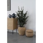 Plante artificielle vert Eucalyptus 120 cm