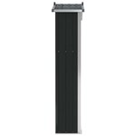 vidaXL Abri de jardin Anthracite 116x45x175 cm Acier galvanisé
