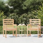 vidaXL Chaises de jardin 2 Pièces 60x48x91 cm bois massif de pin