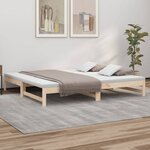 vidaXL Lit coulissant 2x(80x200) cm Bois de pin massif