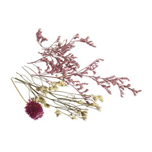 Mini Fleurs séchées - rose tendre
