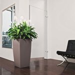 Lechuza jardinière cubico color 40 all-in-one muscade 13151