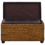 vidaXL Ensemble de banc lot de 2 Jacinthe d'eau Marron