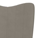 vidaXL Chaise de relaxation Gris clair Velours
