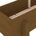 vidaXL Lit surélevé de jardin marron miel 160x30x38 bois de pin massif