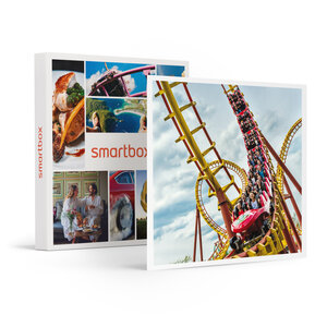 SMARTBOX - Coffret Cadeau Billet pour le Parc Astérix : 1 entrée adulte en 2025 -  Multi-thèmes