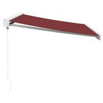 vidaXL Auvent manuel rétractable bordeaux 300x250 cm