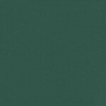 vidaXL Auvent latéral rétractable vert foncé 100x300 cm