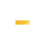 MUNGYO Pastel sec tendre Carré 6 x  Golden ochre