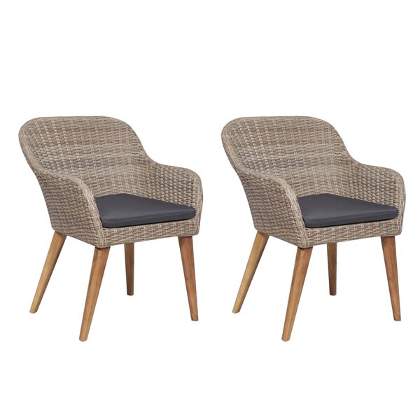 vidaXL Chaises d'extérieur avec coussins 2 Pièces Résine tressée Marron