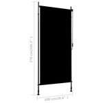 vidaXL Store roulant d'extérieur 100 x 270 cm Anthracite