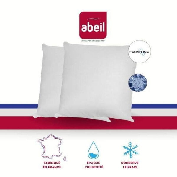 2 oreillers moelleux Iceberg 60 x 60 cm