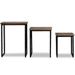 vidaXL Ensemble de table basse gigogne 3 Pièces Teck massif récupération