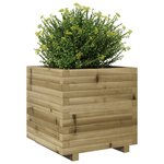 vidaXL Jardinière 50x50x49 5 cm bois de pin imprégné
