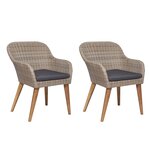 vidaXL Chaises d'extérieur avec coussins 2 Pièces Résine tressée Marron