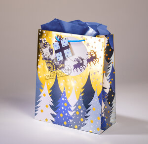 Sac cadeau moonlight gml 26 x h 32,5 traîneau