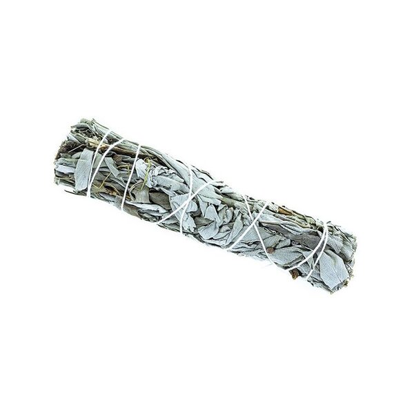Tresse de sauge blanche de Californie