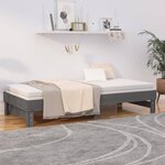 vidaXL Lit coulissant sans matelas gris 2x(100x200) cm