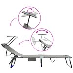 vidaXL 2 Pièces Chaises longues pliantes avec auvent Gris Tissu Oxford 600D