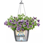 LECHUZA Jardinière suspendue NIDO Cottage 35 ALL-IN-ONE Granite