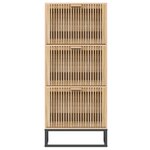 vidaXL Armoire à chaussures 52x25x120 cm bois d'ingénierie
