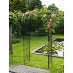 Nature Arche de jardin Métal 114x66x232 cm Noir