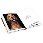 Agenda De Poche 2025 - Chien - Draeger paris
