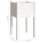 vidaXL Jardinières d'extérieur 2 Pièces Blanc 40x40x70 cm Bois de pin