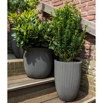 Capi Jardinière Groove 43x41 cm anthracite