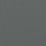 vidaXL Auvent latéral rétractable anthracite 120x600 cm