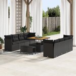 Ensemble de Canapés de Jardin 11 Pièces avec Coussins Noir Rattan Synthétique Acacia