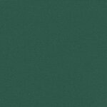 vidaXL Auvent latéral rétractable vert foncé 180x300 cm