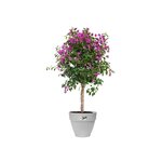 Vibia Campana Bac à fleurs Rond 55 - Gris Ø 55 x 47 cm